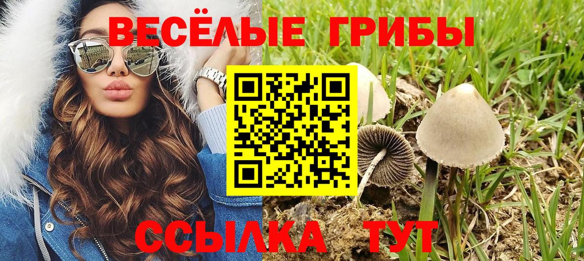 Псилоцибиновые грибы Magic Shrooms Заринск