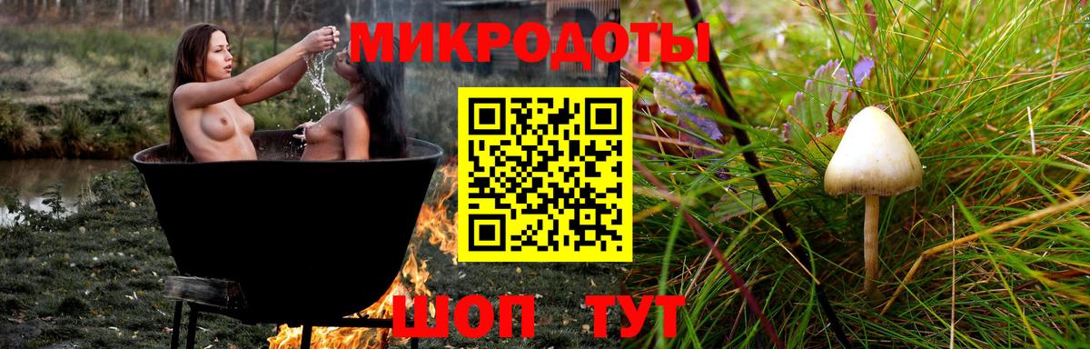 Галлюциногенные грибы ЛСД  Вход с VPN  Заринск 